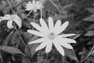 [ [ INSERT BLURRY OUT-OF-FOCUS EVERYDAY OBJECT PHOTO HERE ] ]